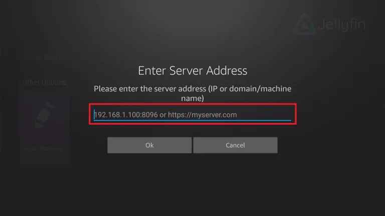 type the Jellyfin server address