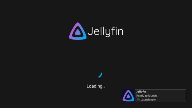Open the  Jellyfin app