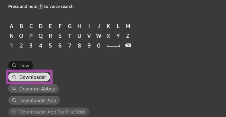  Enter Downloader in the search bar