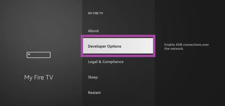 Select the Developer Options