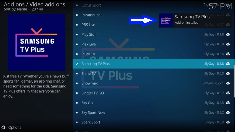 Samsung TV Plus Add-on installed.