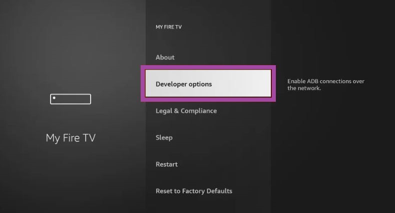  Select the Developer Options